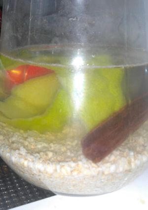 Una foto de Refrescante agua de avena
