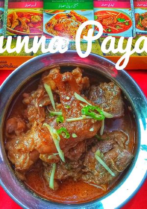 A picture of Mutton kunna paya.