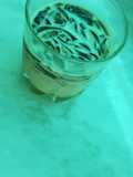 Brown sugar soya milk cincau