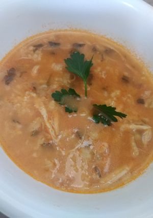 عکسی از دستور سوپ مرغ و سبزیجات