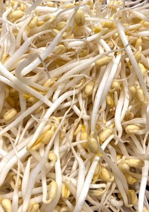 Hình của món Làm giá đỗ xanh từ cát.