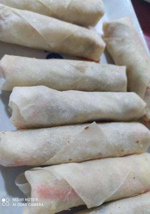 A picture of Chicken vegetable Roll.