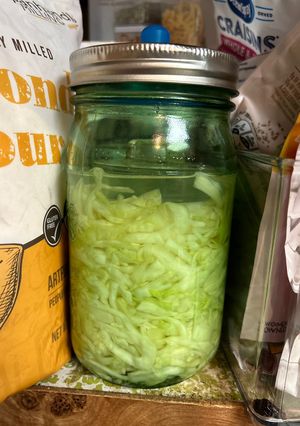 A picture of Sauerkraut.