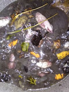 Foto resep Cumi hitam segar