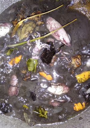 Foto resep Cumi hitam segar