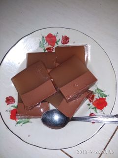 Foto resep Puding coklat santan susu