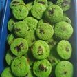 Pukis pandan sederhana