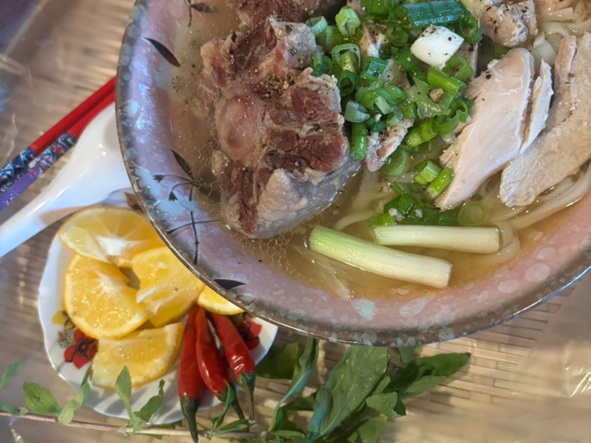 Phở đuôi bò, gà