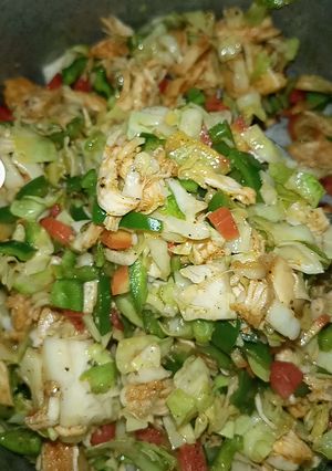 A picture of Chicken and vegetables filling.