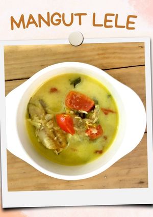 Foto resep Mangut Lele (Mpasi 1th+)
