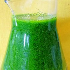 A picture of Basil Oil.
