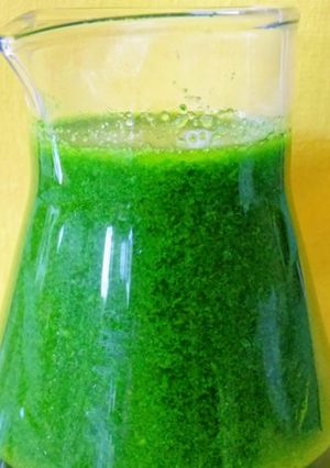 A picture of Basil Oil.