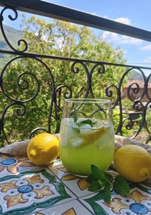 Foto di Bevanda Fresca Menta Selvatica e Limone