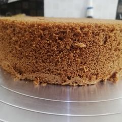 A picture of Basic sponge.