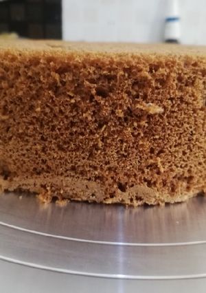 A picture of Basic sponge.