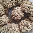 Galletas de avena🍪