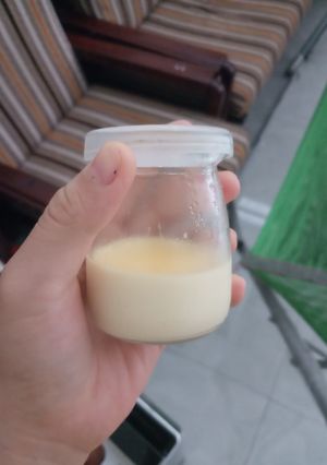 Hình của món Flan sữa công thức.