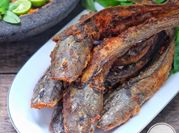 Gambar lele goreng
