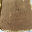 Tiramisú para todos los publicos (receta cocinada por mi mujer)