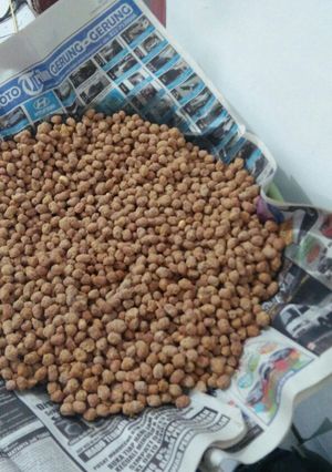 Foto resep Kacang Telor
