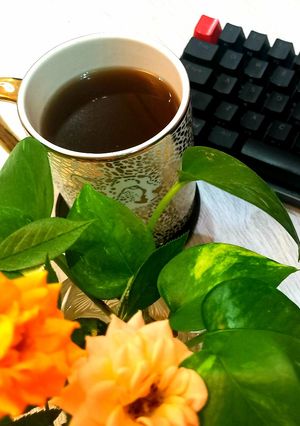 عکسی از دستور قهوه اتریشی
