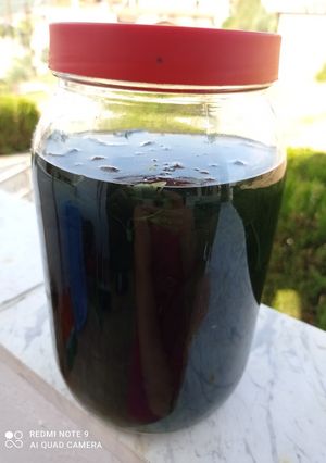 Φωτογραφία της συνταγής Λικέρ μέντα