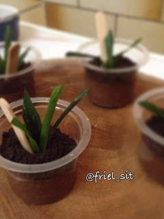 Foto resep Easy potted choco mousse pudding