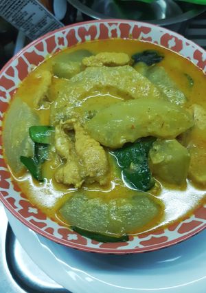 รูปของ แกงเขียวหวานไก่ใส่ฟักเขียวไร้สาร