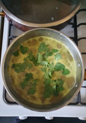 A picture of Thai Green Curry Soup.