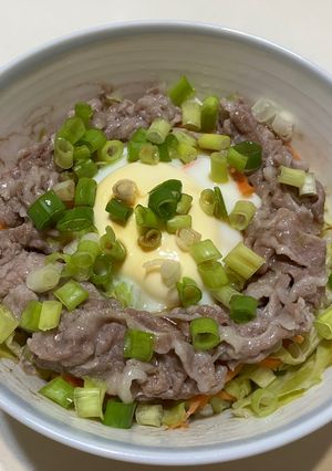 高麗菜豬肉雞蛋蓋飯（電鍋料理） 的食譜成品照片