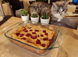 Foto principal de Tarta (healthy) de queso blanco con frambuesas y avena