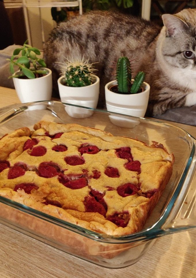 Una foto de Tarta (healthy) de queso blanco con frambuesas y avena