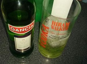 Una foto de Gancia para el brindis