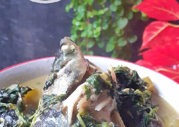 Bumbu Pindang Patin Simpel | Cara Bikin Pindang Patin Simpel Yang Lezat Sekali