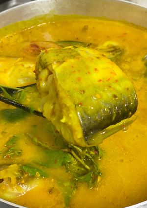 Gambar Gulai Tempoyak Patin
