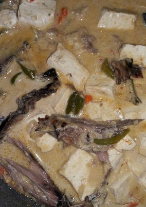 Foto resep Tongkol santan alaa amirahabsyie