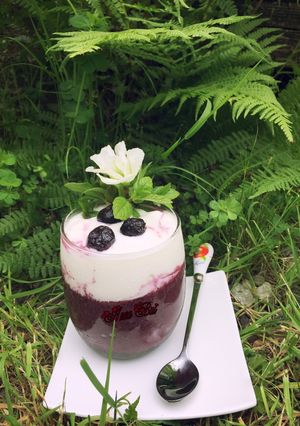 Hình của món Yogurt bluberries.