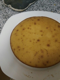 A picture of Vanilla cake.