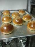 Hamburger Buns