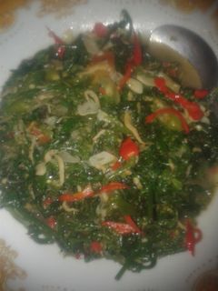 Foto resep Tumis Pakis