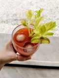 Bloody Mary
