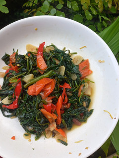 Foto resep Tumis Kangkung Udang