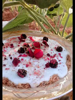 صورة لوصفة مدلوقة بالعثملية