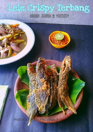 Foto resep Lele crispy terbang