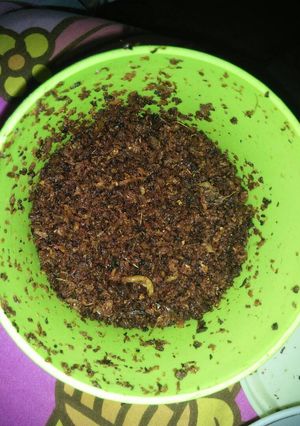 Foto resep Abon Ikan Cakalan tanpa disaring no kolesterol