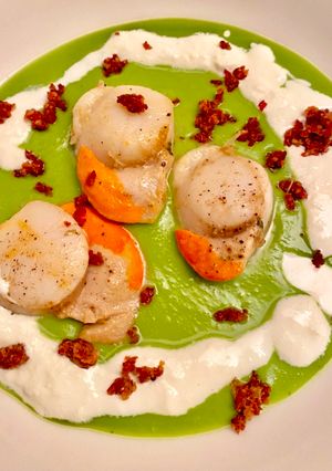Foto di Capesante, crema di piselli, burrata e polvere di bacon