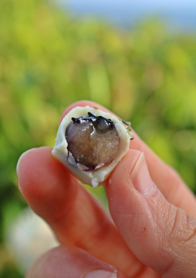 Una foto de Bombones helados con solo 2 ingredientes