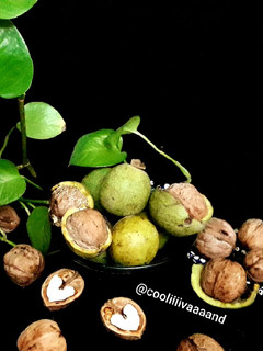 عکسی از دستور خشک کردن گردوی تازه