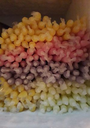 Foto resep Es yoghurt pensil (kw)