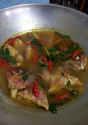 Foto resep Palumara Kakap Merah